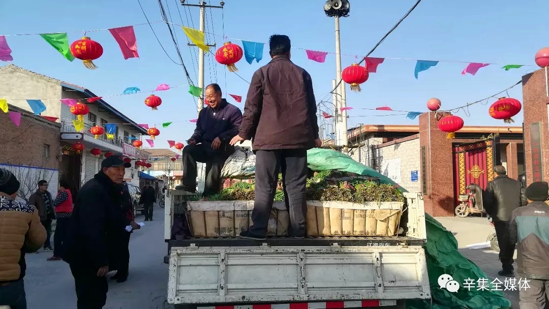 河北張立謙幫助家鄉菜農采購滯銷韭菜送給鄉親 (2)